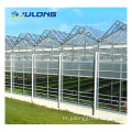 Venlo Hydroponic Multi Span 유리 온실